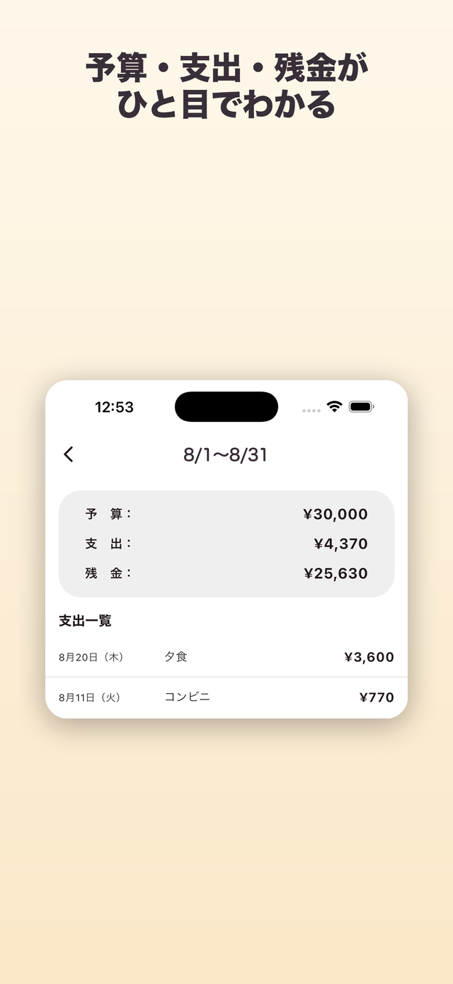 詳細画面：予算・支出・臨時収入・残金の内訳